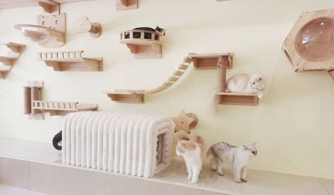 Pet Supplies Ottoman Storage Bench Corduroy Bench Cat's nest to hide For the Living Room, Entryway and Bedroom (Color: as Pic)