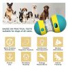 Pet Slow Food Feeder Interactive Toy for Anti Choking Bowl